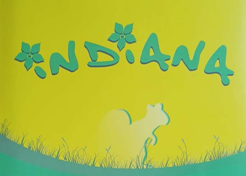 🌿Excursión a Indiana🌿 🌿Excursión a Indiana🌿