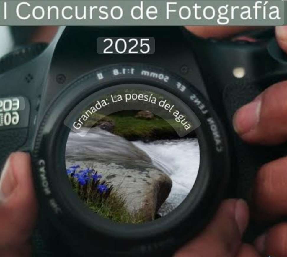 📷I Concurso de Fotografía📷
