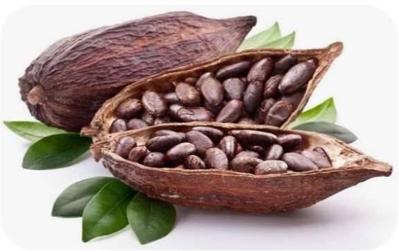 🥭 Menú Febrero 🥭