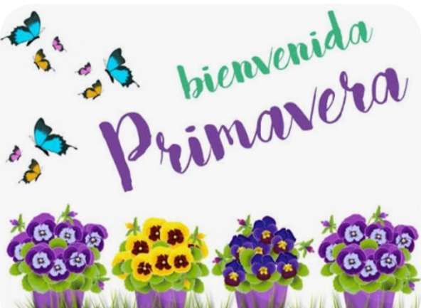 🐝 Bienvenida primavera💐
